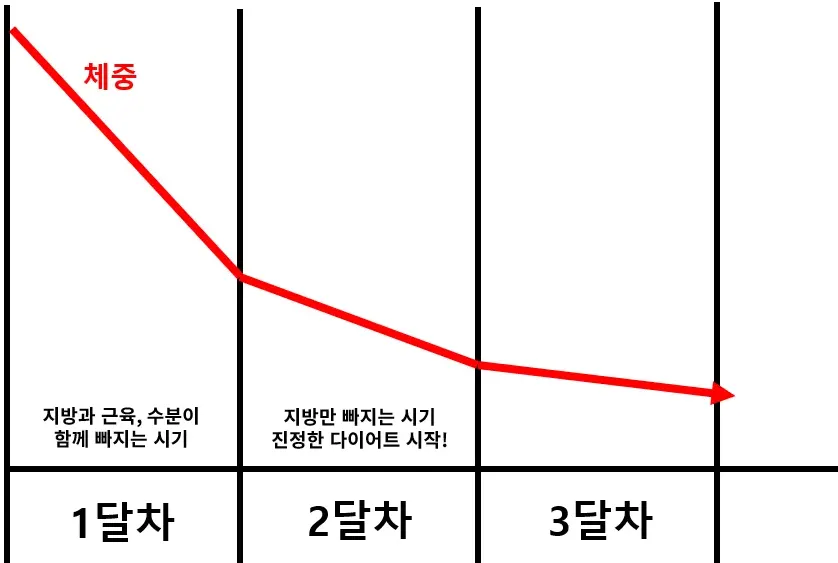 3개월 감량 그래프